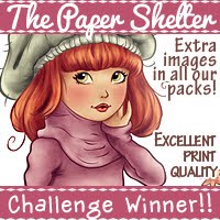 Paper Shelter