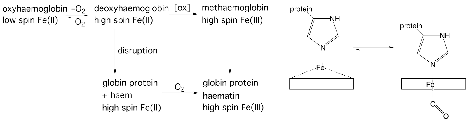 The Chemistry of d- and f- Block: Trends in Stability Constant and The ...