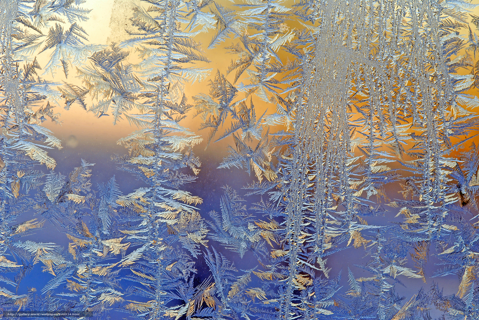 Мороз рисует на стекле узоры. Морозные узоры на стекле. Морозные узоры на окне. Морозное окно.