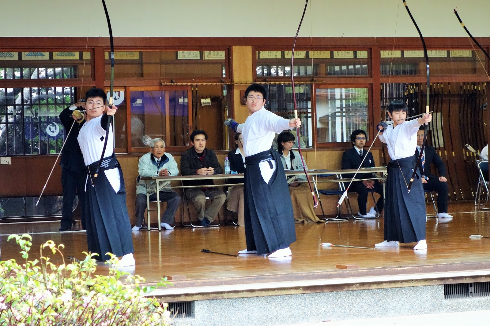 上 弓道 錬士 面接 251877弓道 錬士 面接問題 Jossaesipa0kw