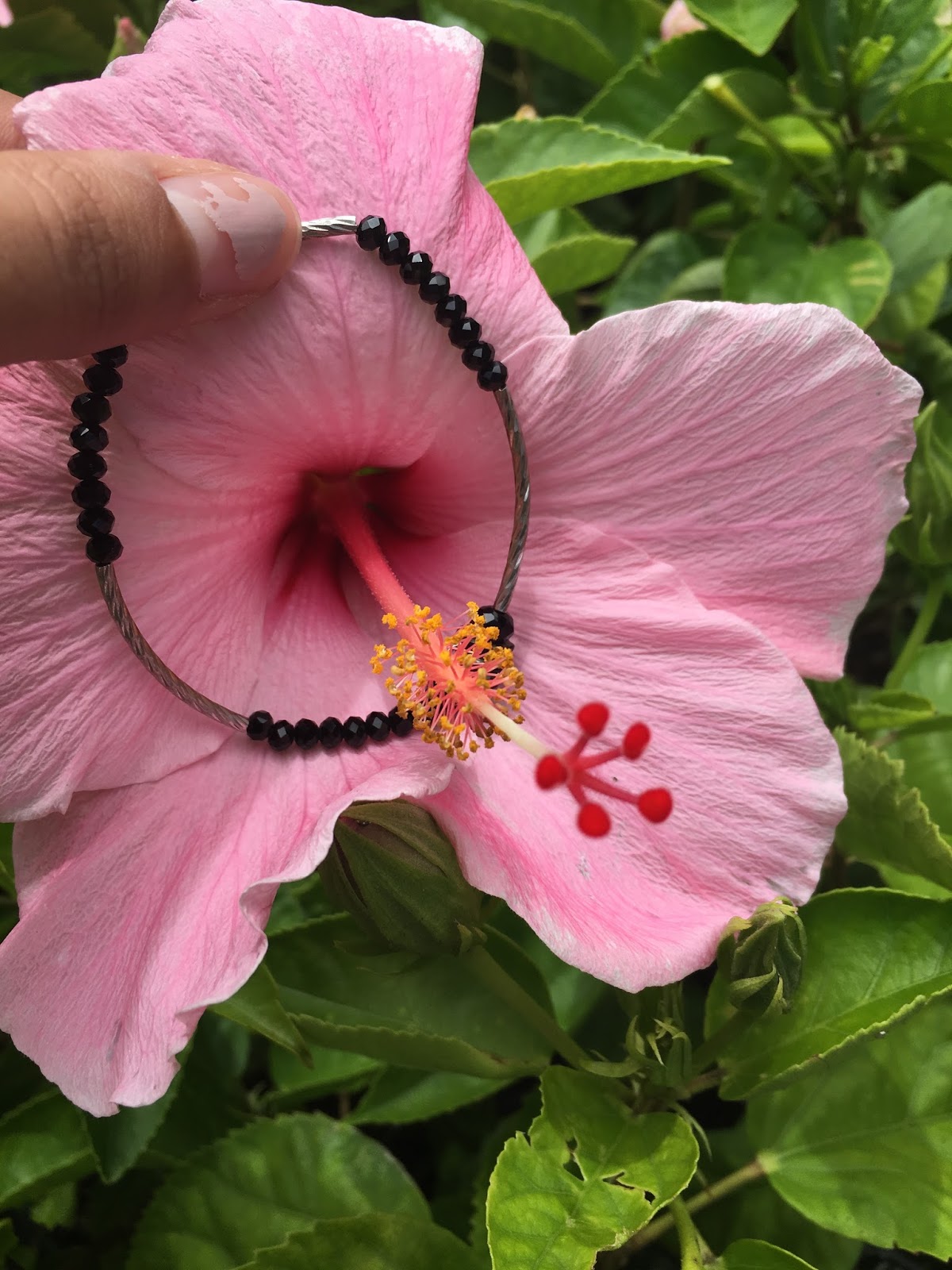 Selena�s Biological Collection Stigma and Style of a Carpel