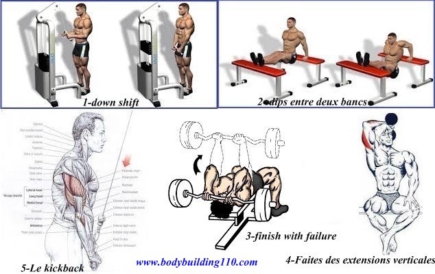 5 Ways To Torch Your Triceps Www Bodybuilding110 Com