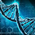 Sửa chữa và bảo vệ DNA