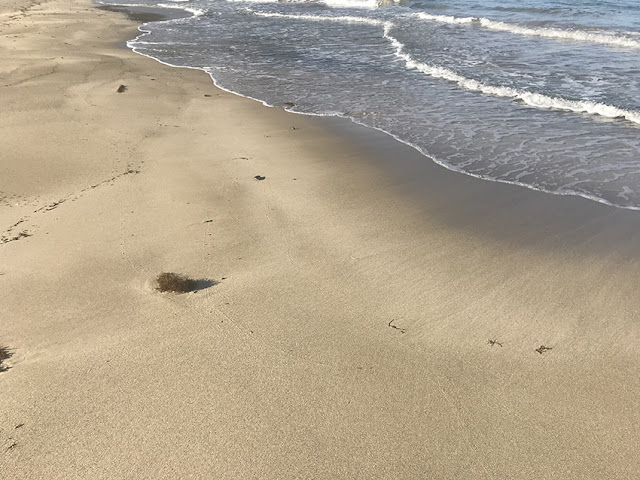 島根県　石拾い