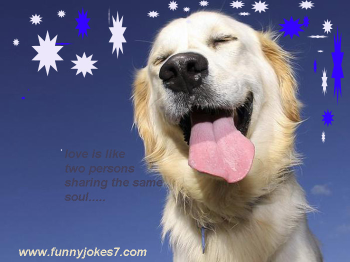 funny short sayings for adults funny short sayings for adults