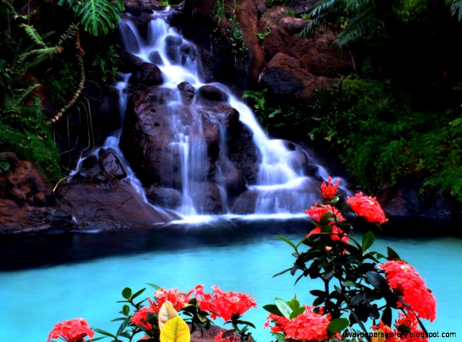 Tropical Paradise Waterfalls