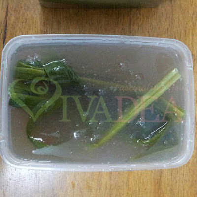 Cara masak, pakai & penggunaan seaweed sabah 4