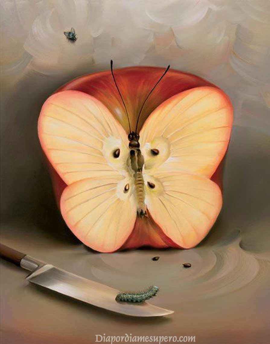 Manzana, mariposa, cuchillo