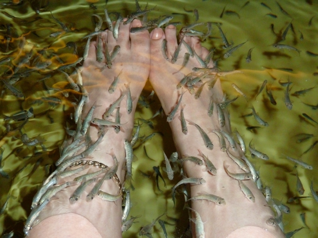 Q8 Rain Let The Fishes Eat Your Feet, IT'S FUN