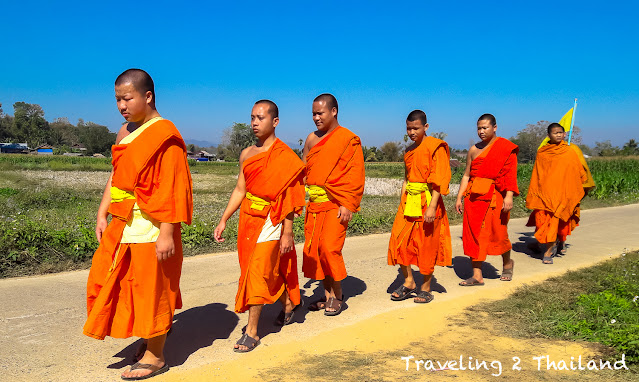 Monks walking between the rice fields in Pua, Nan province, North Thailand