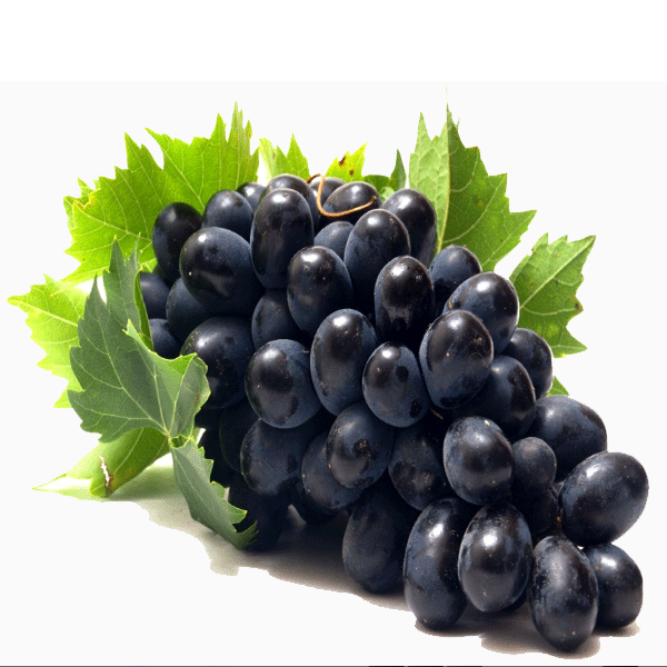 27 Manfaat dan Khasiat Anggur Hitam  untuk Kesehatan