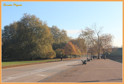 Descobrir os Parques Reais de Londres