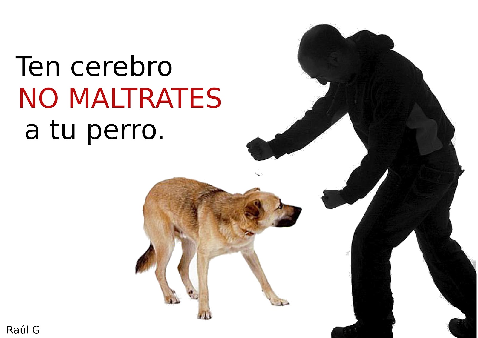 Maltrato Animal junio 2014 Maltrato Animal junio 2014