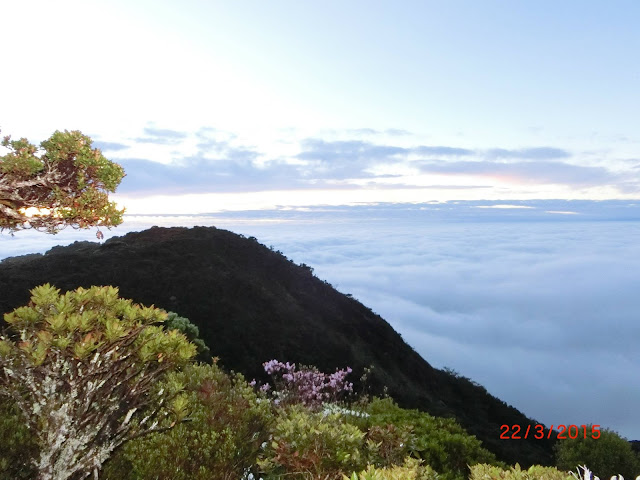 Mt Napulawan sea of clouds