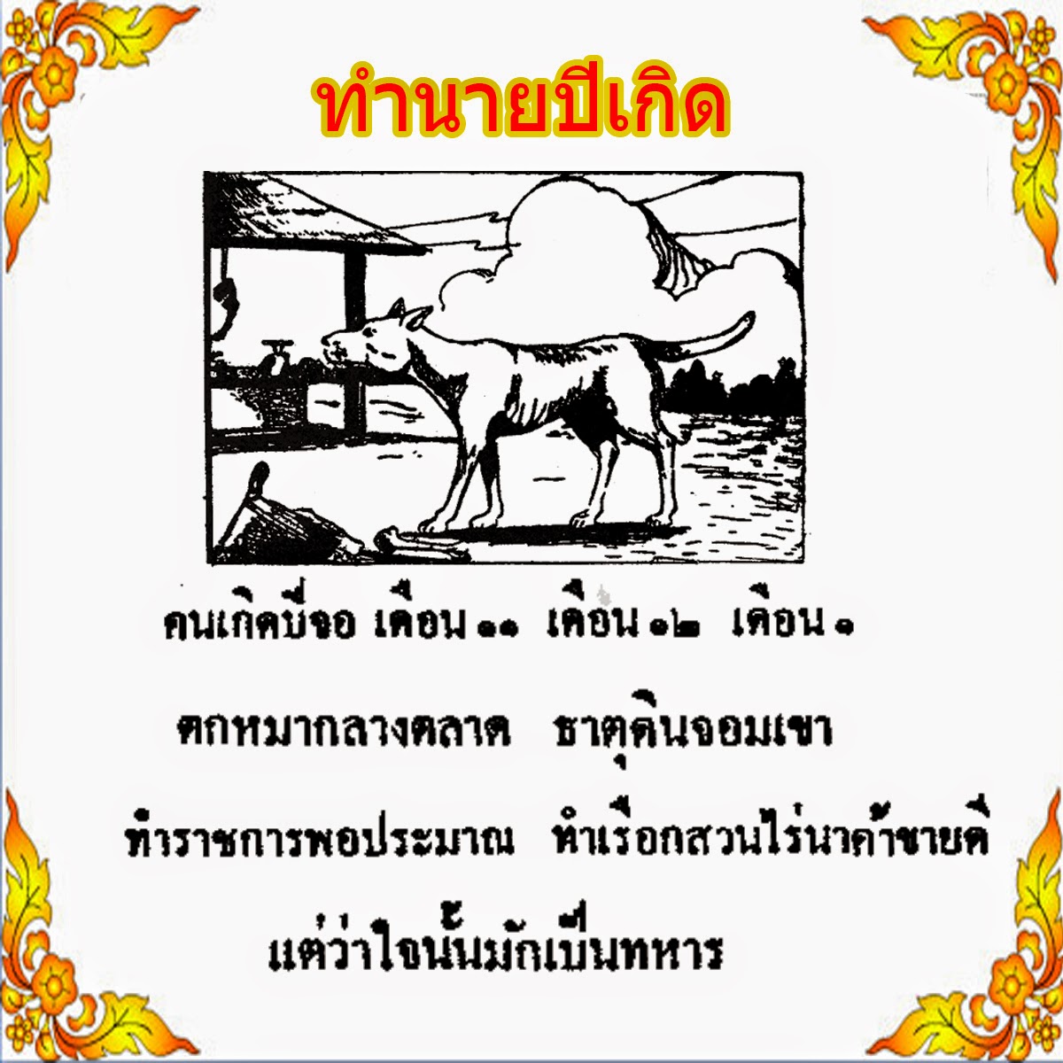 My Image 40