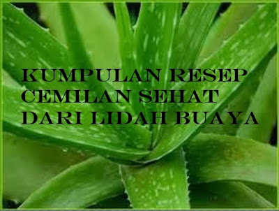 kumpulan resep cemilan sehat dari lida buaya kumpulan resep cemilan sehat dari lida buaya