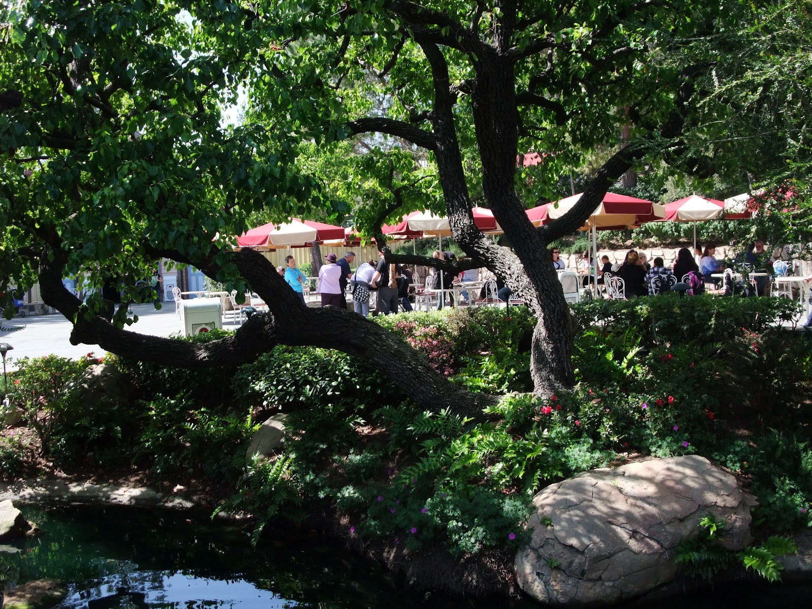 Carnation Plaza Gardens?