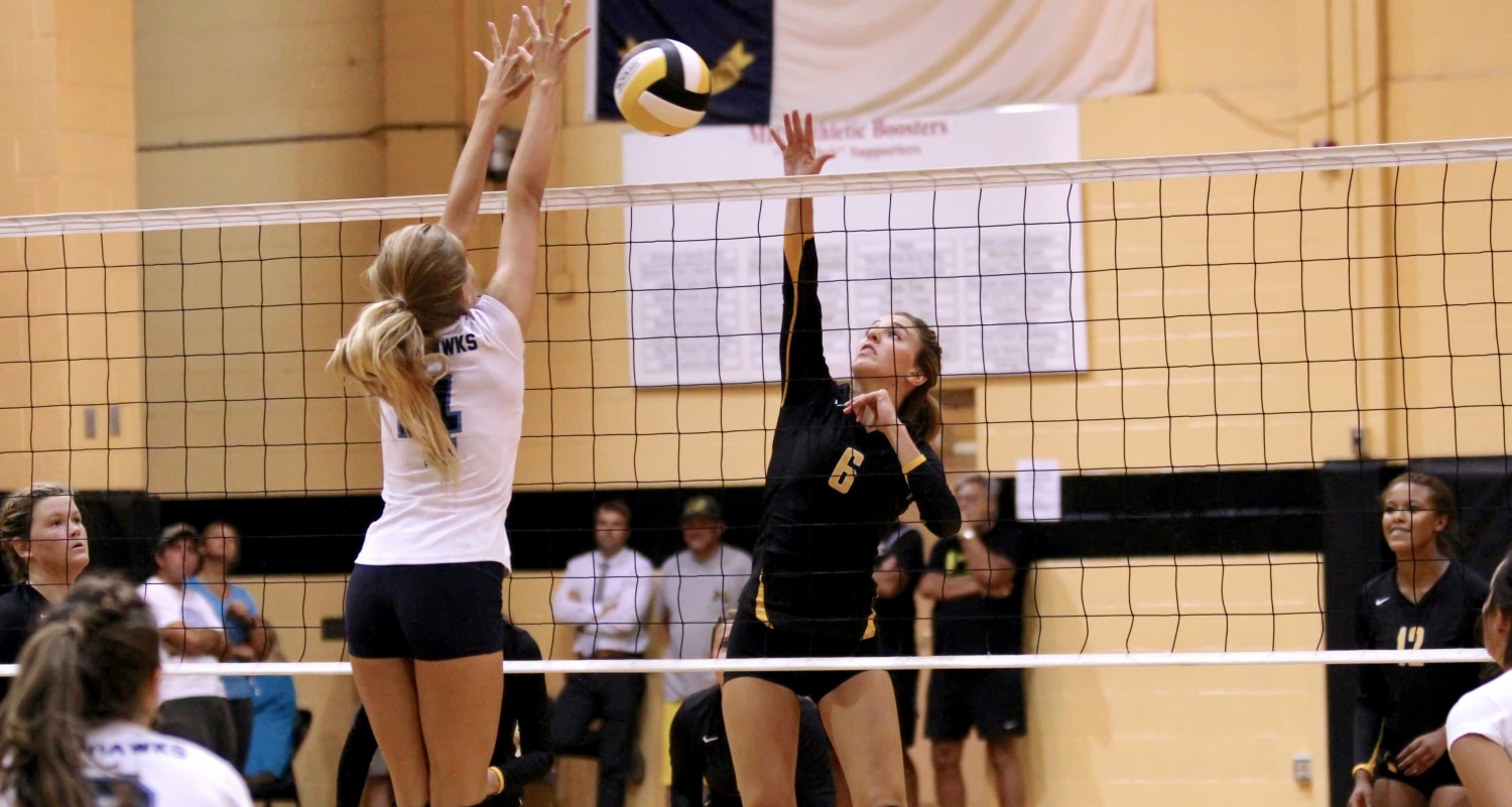 Saiba tudo sobre Fundamentos de Volei Voleibol Educacional Saiba tudo sobre Fundamentos de Volei Voleibol Educacional
