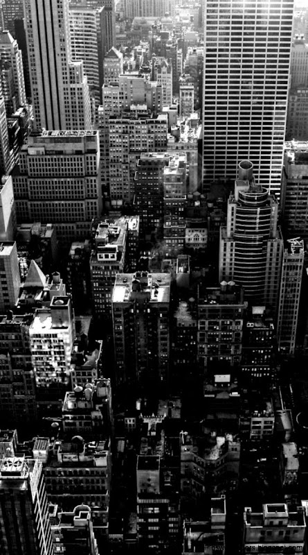 New York City Madness iPhone 5 Wallpaper 720x1280