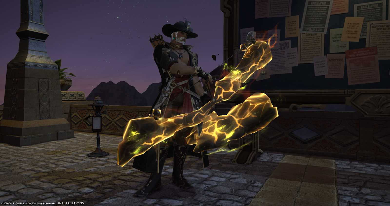 A Tank and a Healer. Fat chocobo head