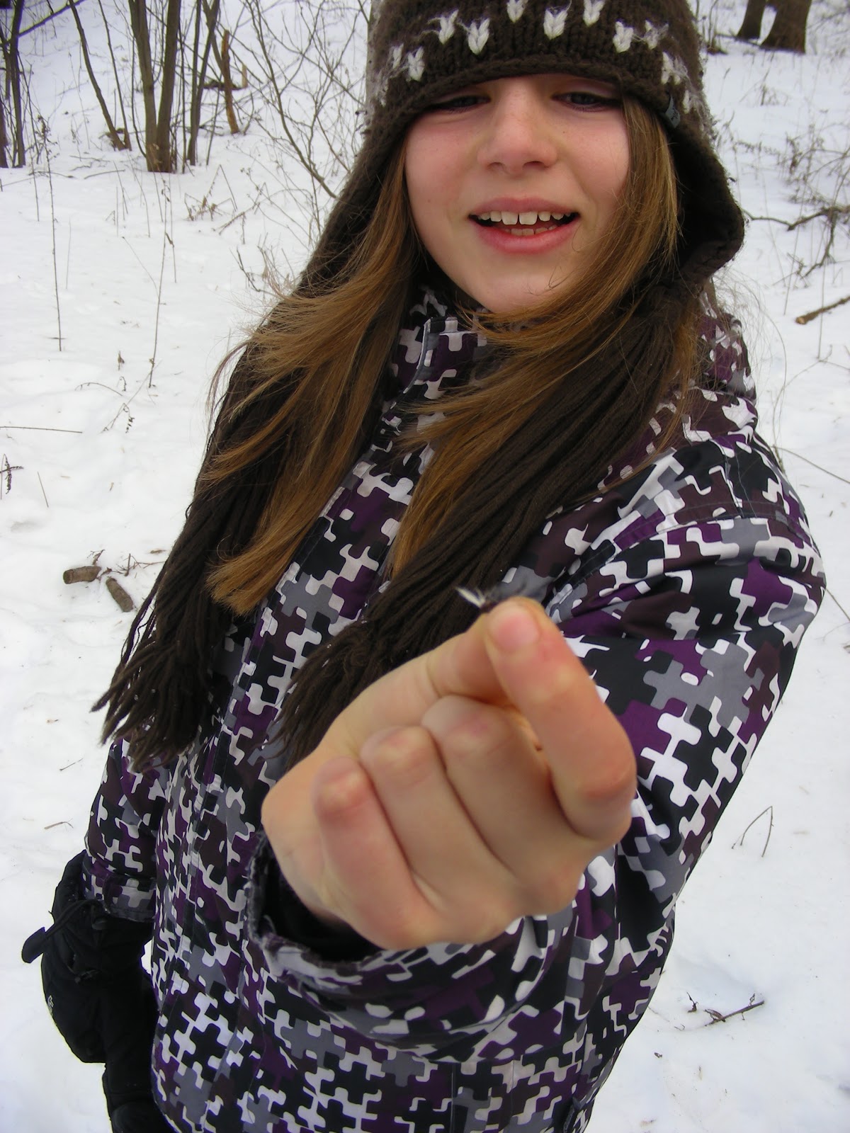 Branchés sur la faune Connected to wildlife StÉdouard, Lac Brome
