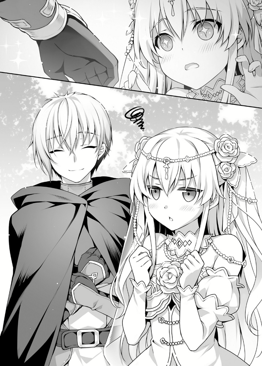 Seirei gensouki light novel volume 16