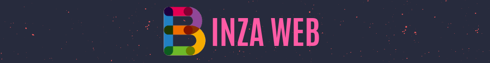 Binza Web