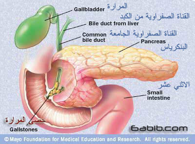 الجمعية السعودية لطب الأسرة والمجتمع