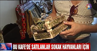 ürünlerin geliri Sokak hayvanları için