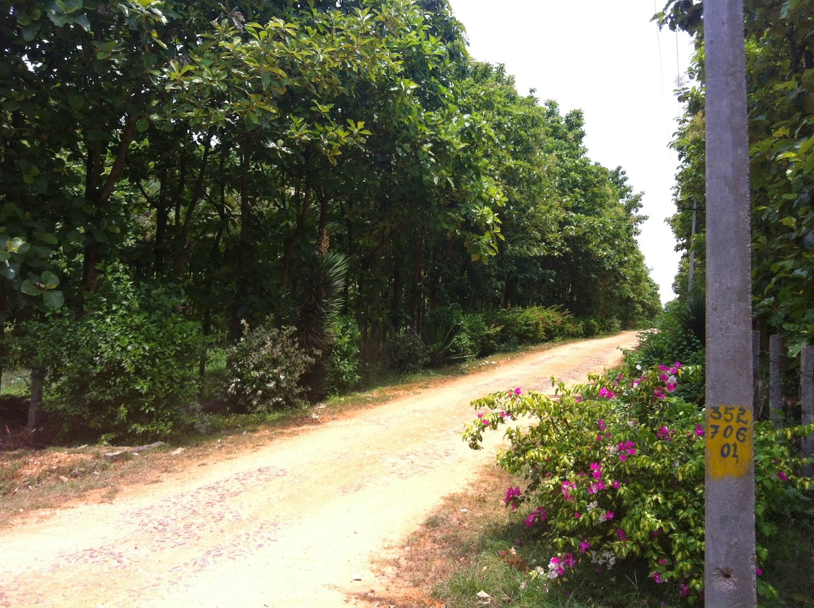 Emerald Enclave, Mysore