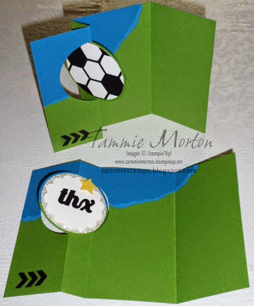 Tammie Stamps: Soccer Coach Cards