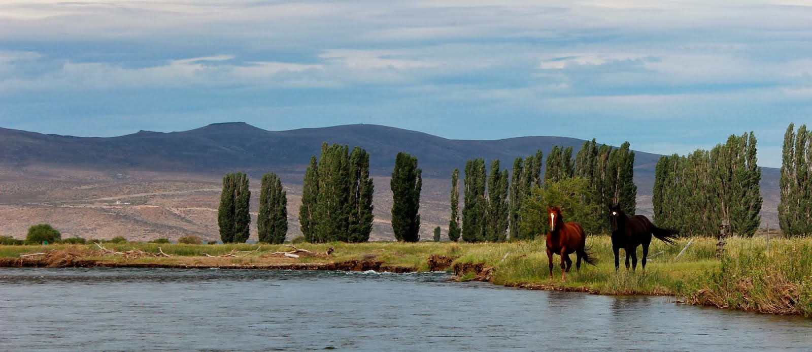 Fly Fishing, Kayaking & Camping