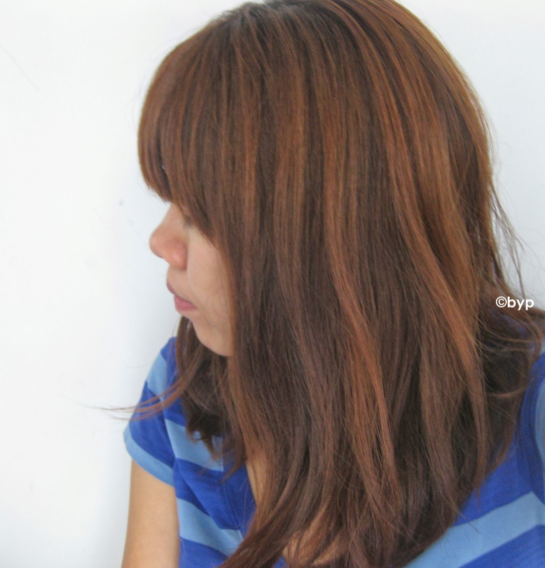 Adventures of a Bright Young Person /Hair/ L'Oreal Preference Sun