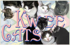 My Kitties have their own blog.
