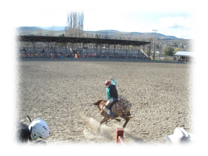 Okanogan Valley Real Estate Blog: Tonasket Jr. Rodeo Weekend