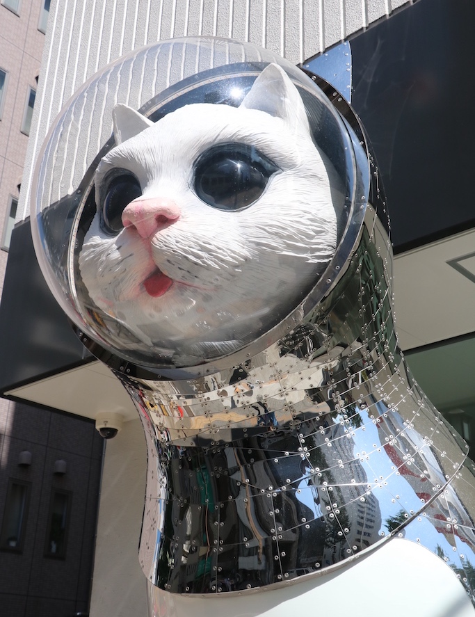 No Impact Girl Sashimi, cats and tatami mats 15 reasons to love Japan