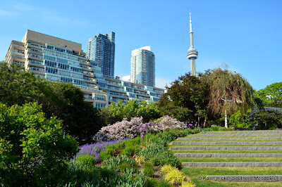 Toronto skyline from Music Garden