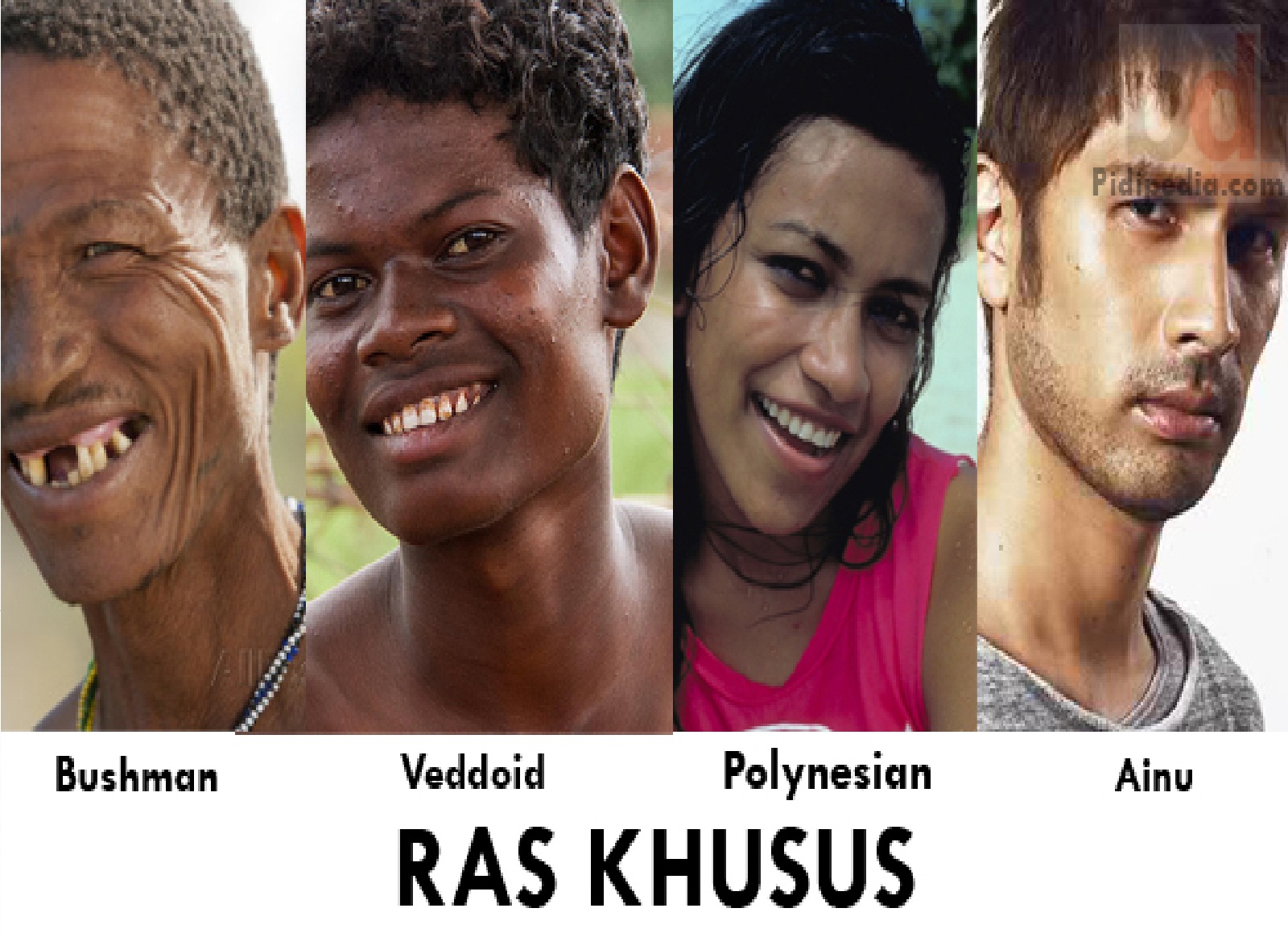 Macam Macam Ras Di Indonesia Beserta Ciri Cirinya