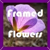 Framed flowers BOM