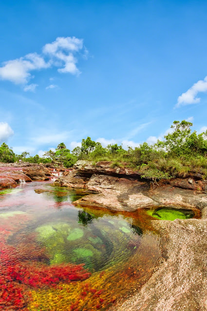 Fotografía Caño Cristales: por Mario Carvajal (cc) 2012