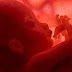 Φρίκη: Βοσκός βρήκε σχηματισμένα έμβρυα σε γυάλες έξω από νεκροταφείο