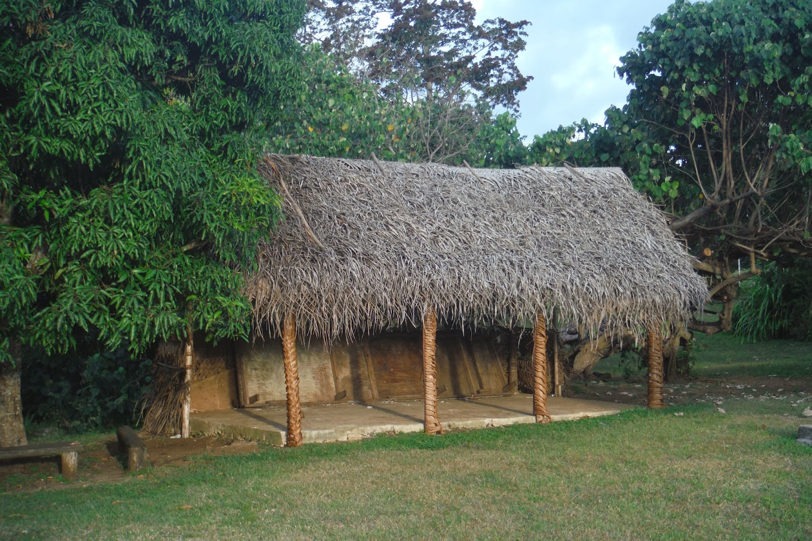 Testimonies from Tonga TONGAN HOUSES