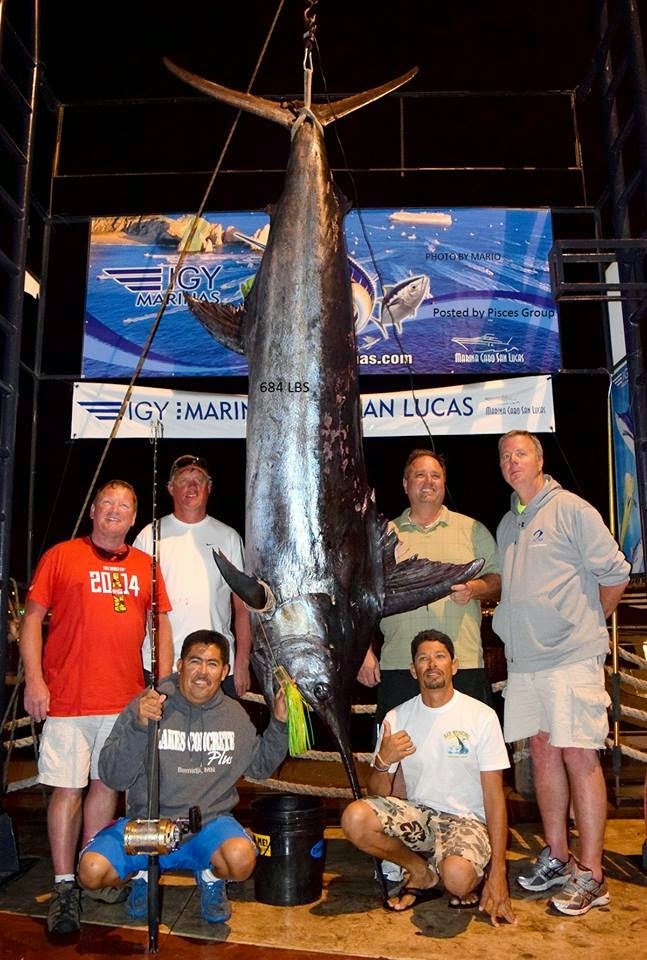 International Fishing News: MEXICO: two big marlin caught off Cabo
