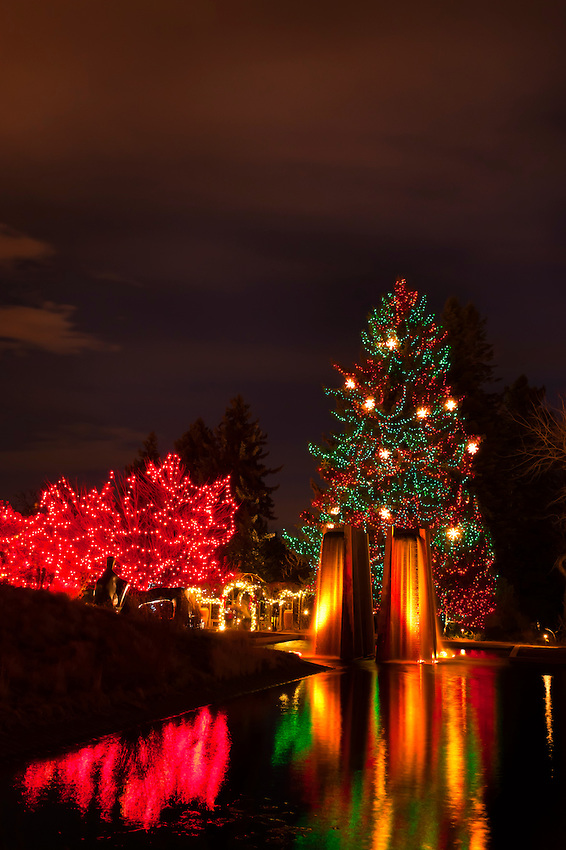 Not In Our Graves Yet Christmas Lights at the Denver Botanic Gardens