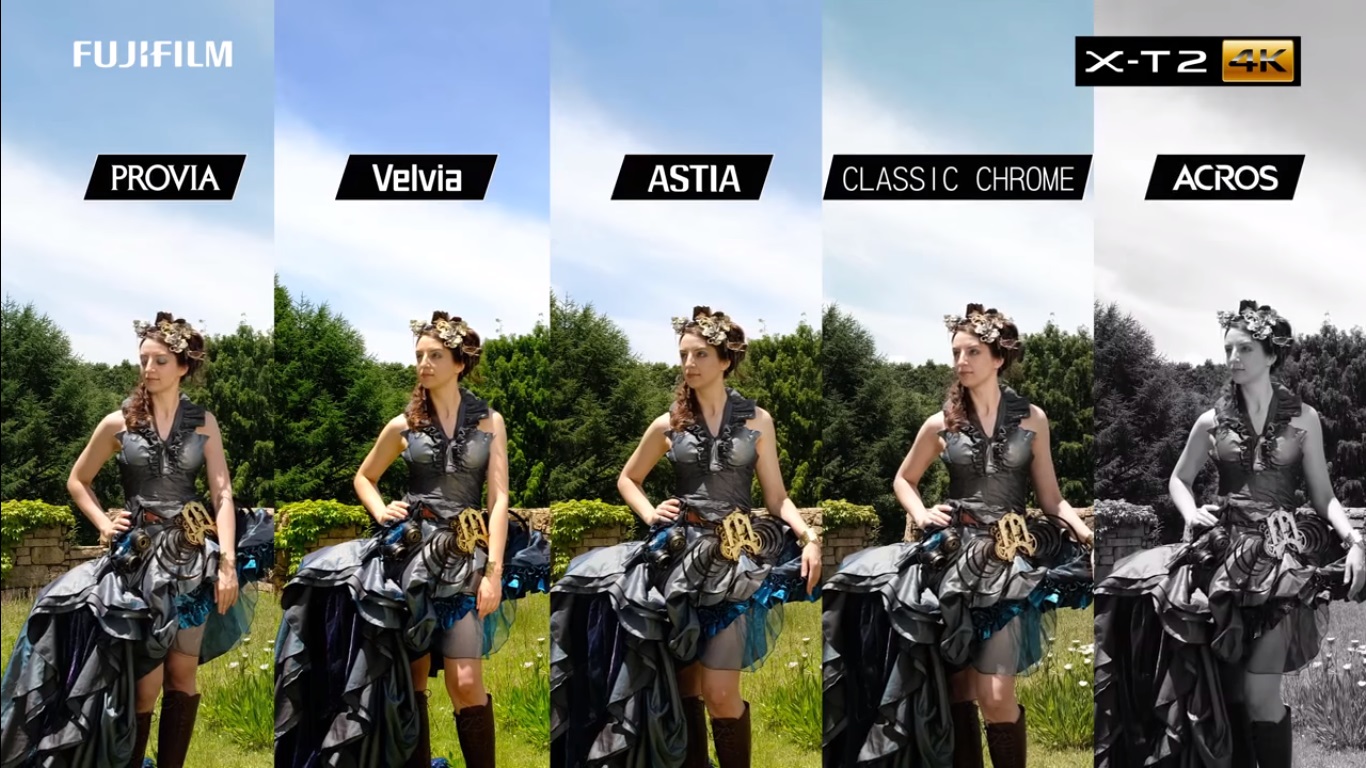 ACROS, Provia, and Velvia: FUJIFILM X-T2 introduce film simulation in