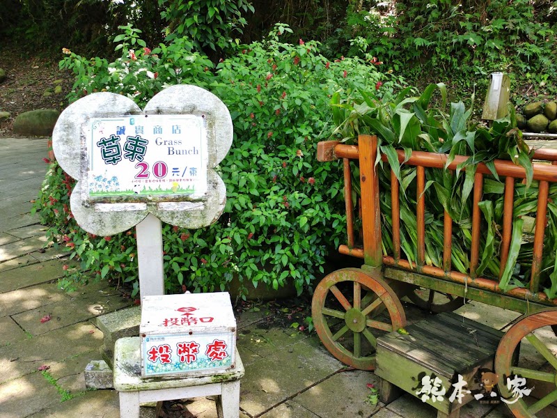媲美清境青青草原|苗栗飛牛牧場|乳牛綿羊生態區~擠牛奶餵小羊小牛體驗
