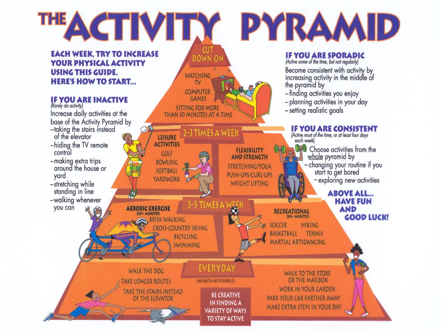 Exercise Science And Fitness Training Physical Activity And The 