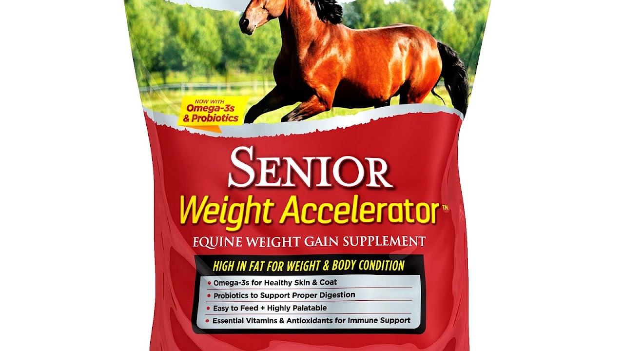 Best Weight Builder For Horses Horse Choices