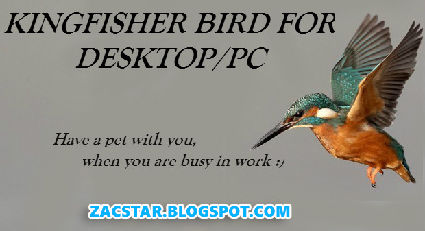kingfisher software free download