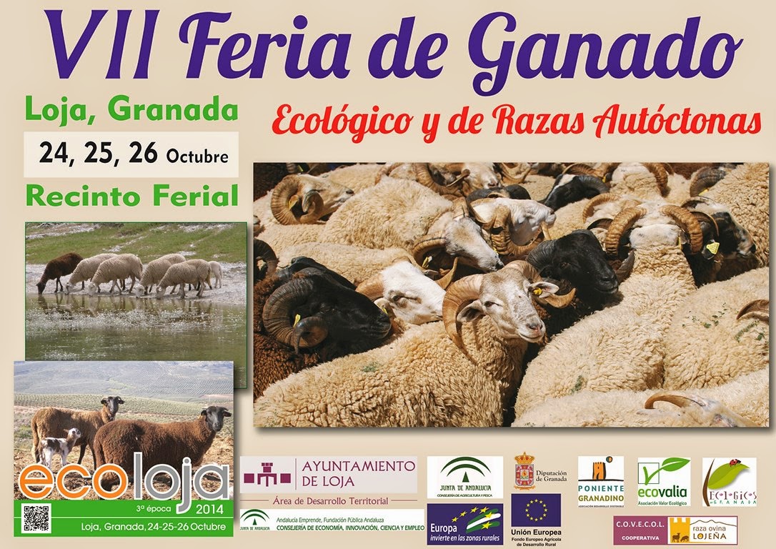 Loja Turismo ECOLOJA Y VII FERIA DE GANADO
